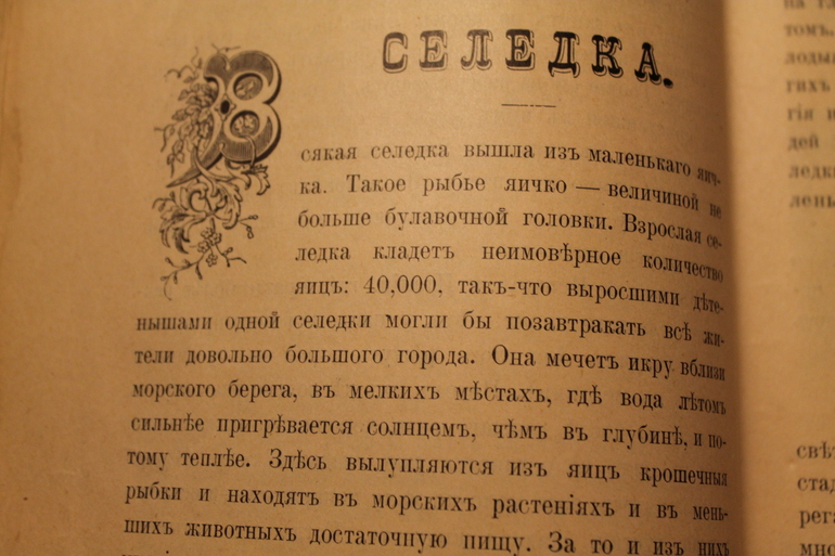 Семейная библиотека.