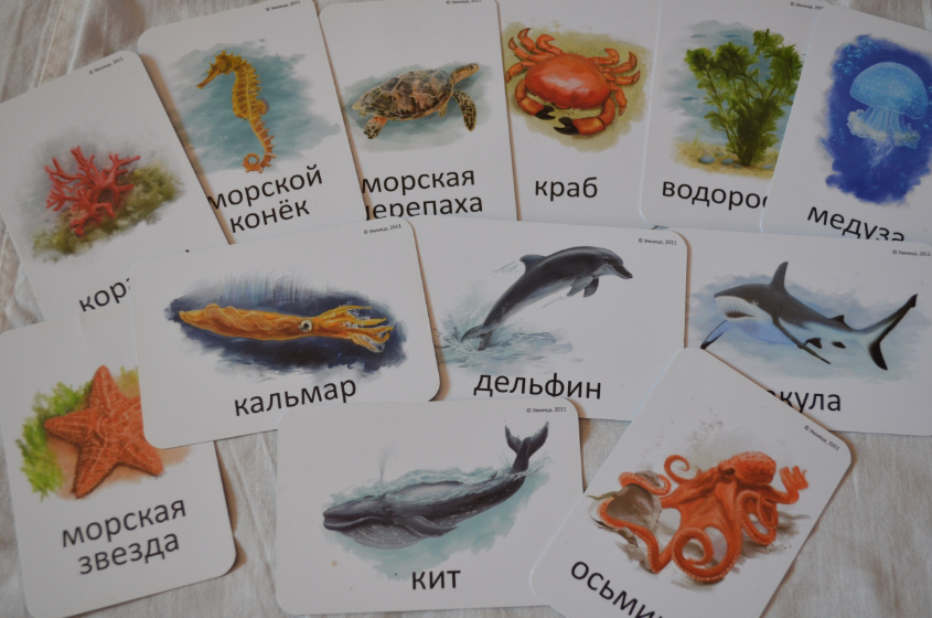 Знакомим малыша с животными и растениями нашей планеты