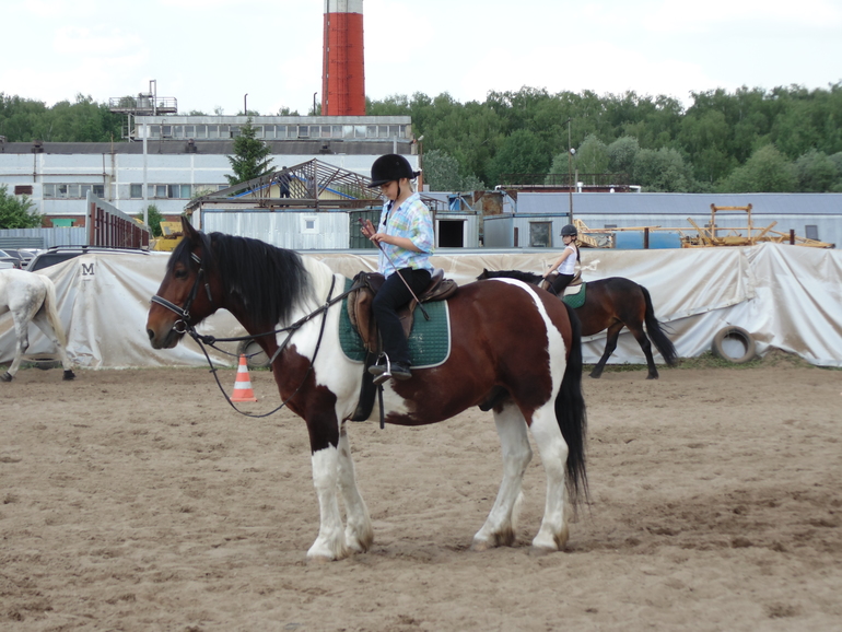 КСК последнее занятие этого сезона