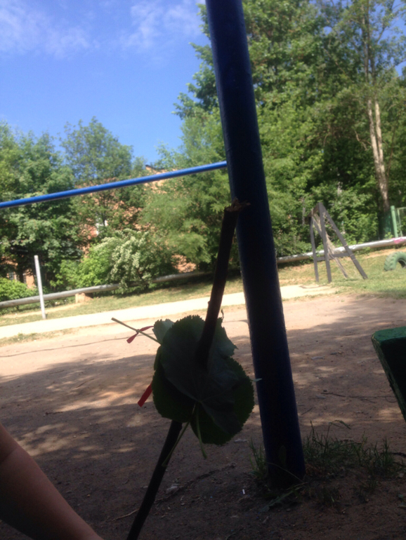 Первая Сказочная прогулка