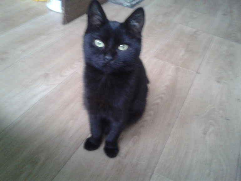 знакомьтесь Бастинда)