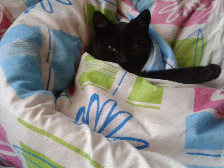 знакомьтесь Бастинда)