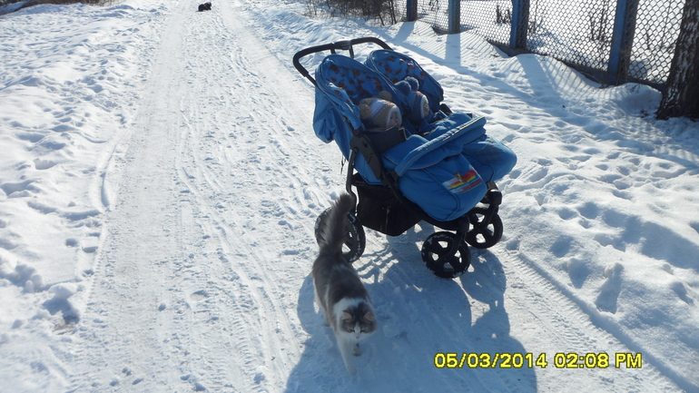 Mobility One Express Duo