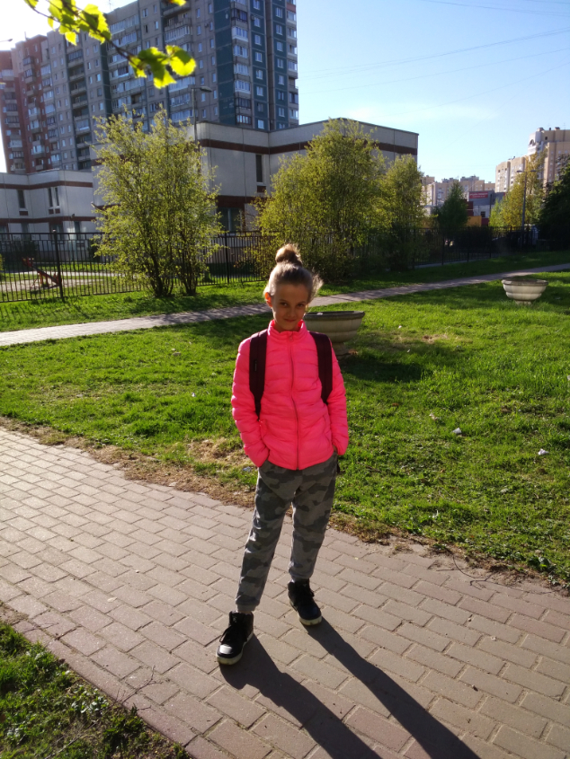Картинка