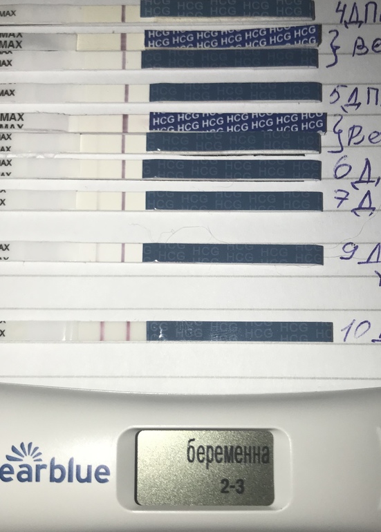 Тест 6 дней. 3 ДПП пятидневок крио. 6 ДПП пятидневок тест. 4дпп тест на беременность. Тест на беременность на 6 ДПП пятидневок.