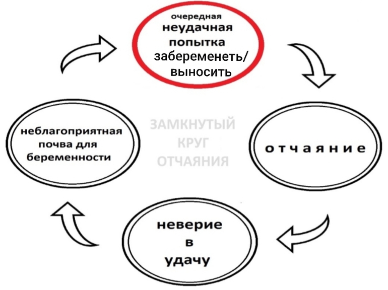 Замкнутый круг. Порочный замкнутый круг. Высказывания про замкнутый круг. Замкнутый круг цитаты.