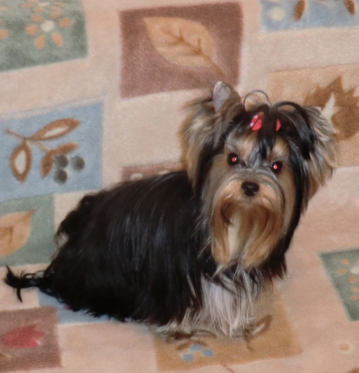 Девочка созрела)))))