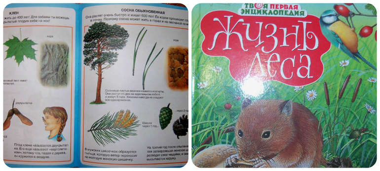 Наше весеннее в 2014. Миру год и 10-11 мес.