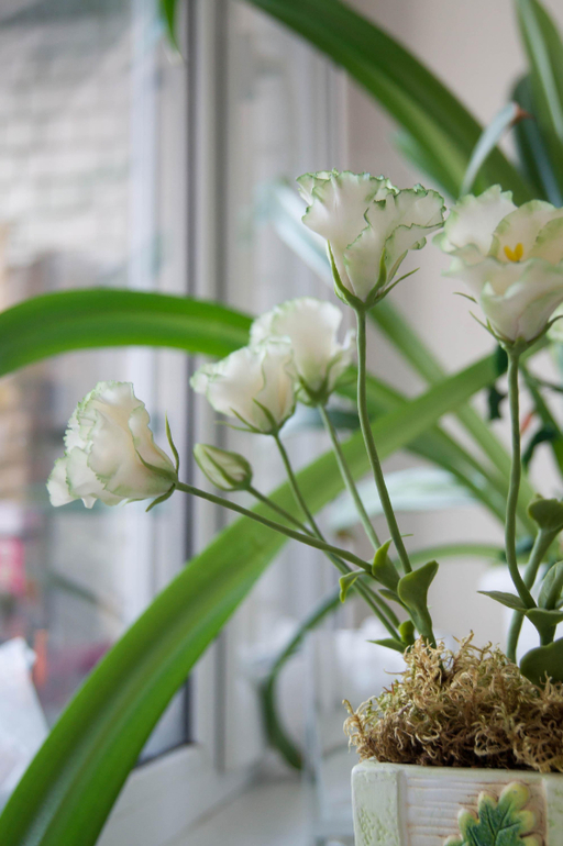 Контрольное задание № 9. Использование масок слоев