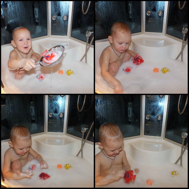 ТН подводный мир и его обитатели.