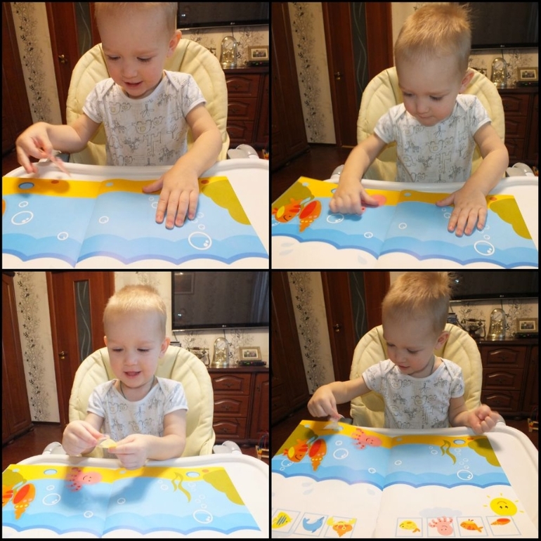 ТН подводный мир и его обитатели.