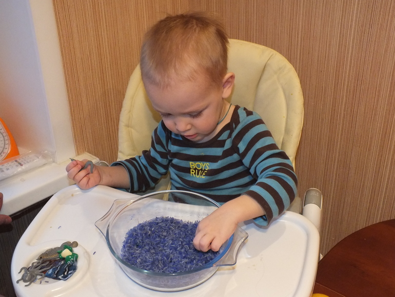 ТН подводный мир и его обитатели.