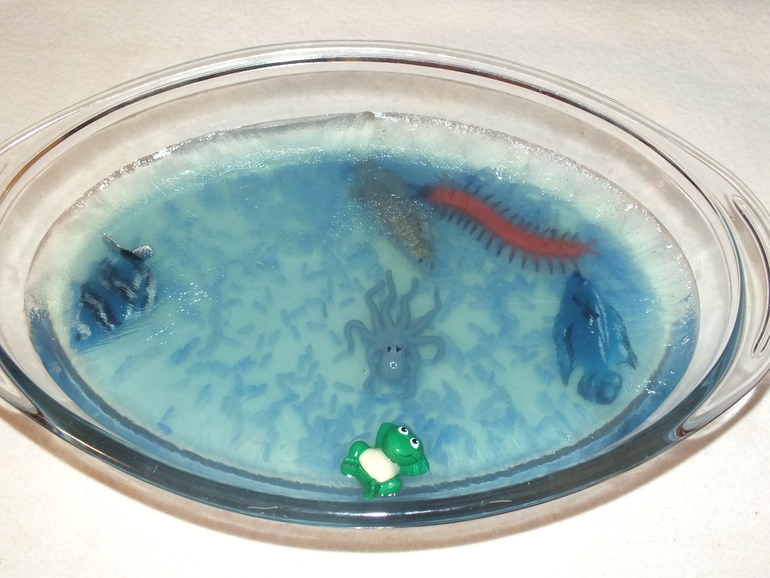 ТН подводный мир и его обитатели.