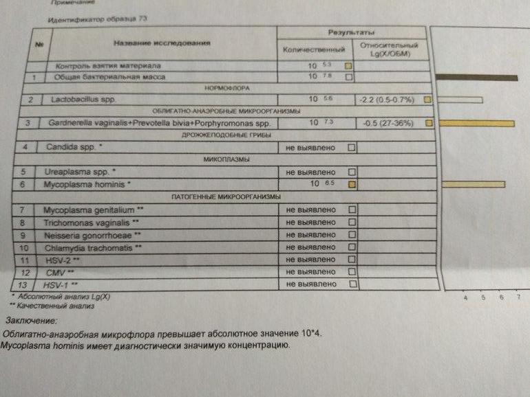 Фемофлор расшифровка у женщин норма. Исследование биоценоза урогенного тракта Фемофлор 16. Исследование биоценоза урогенитального тракта Фемофлор скрин. Фемофлор 16 норма. Скрининг микрофлоры урогенитального тракта Фемофлор скрин.