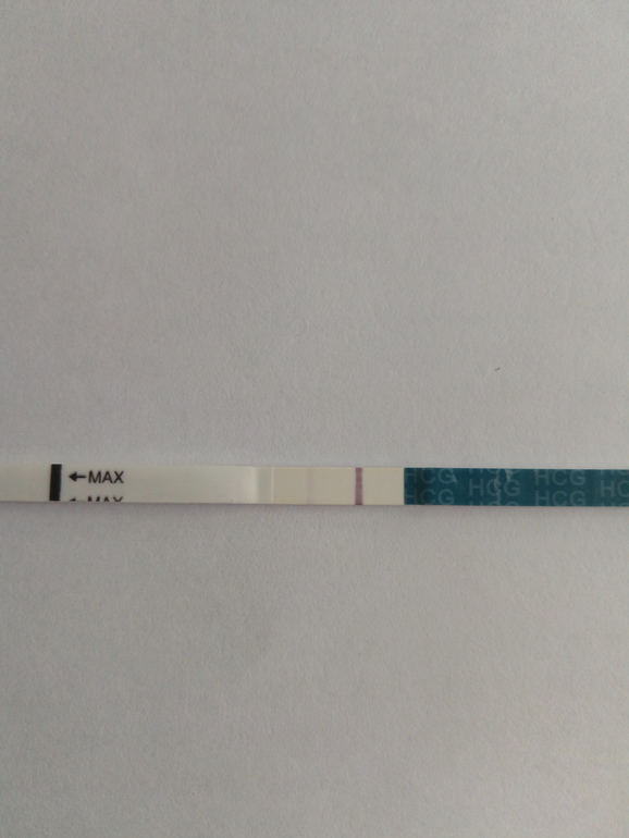 Бледная полоска на тесте. Эвитест вторая полоска бледнее. Эвитест 2 день задержки. Эвитест 2 полоски 1 бледная. Бледная полоска 14 ДПО.