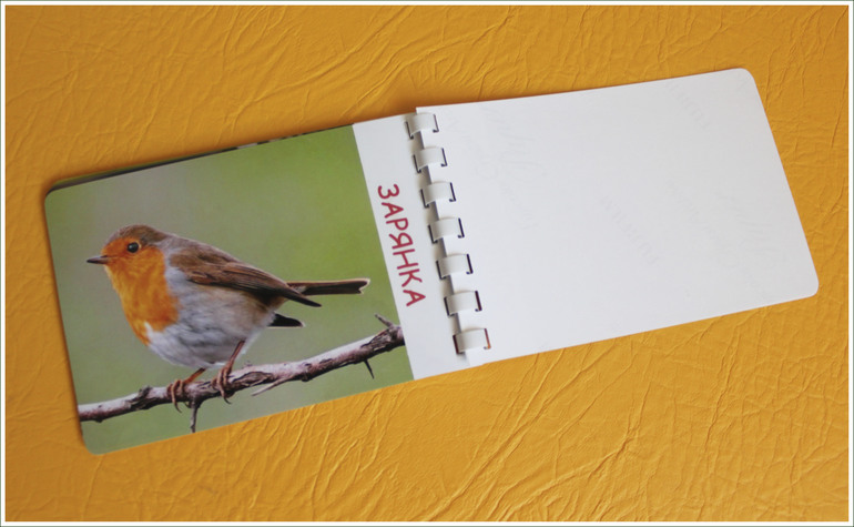 Дела птичьи )