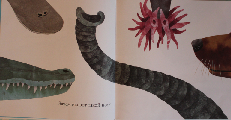 Наша книжная жизнь