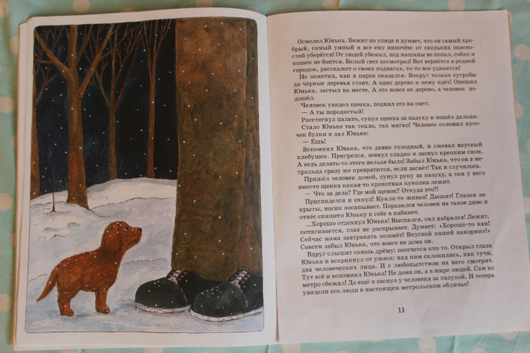 Наша книжная жизнь