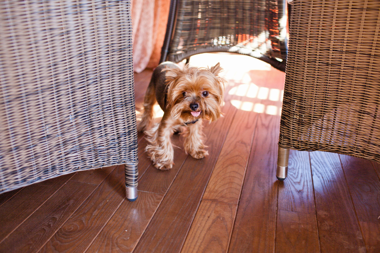 Девичник. полная серия)