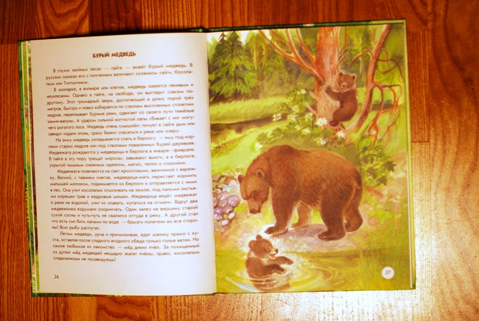 Книга о животных и маленькие географические атласы.