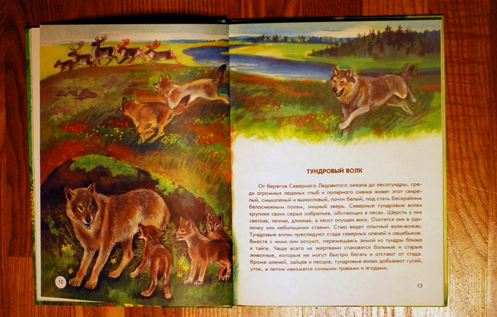 Книга о животных и маленькие географические атласы.