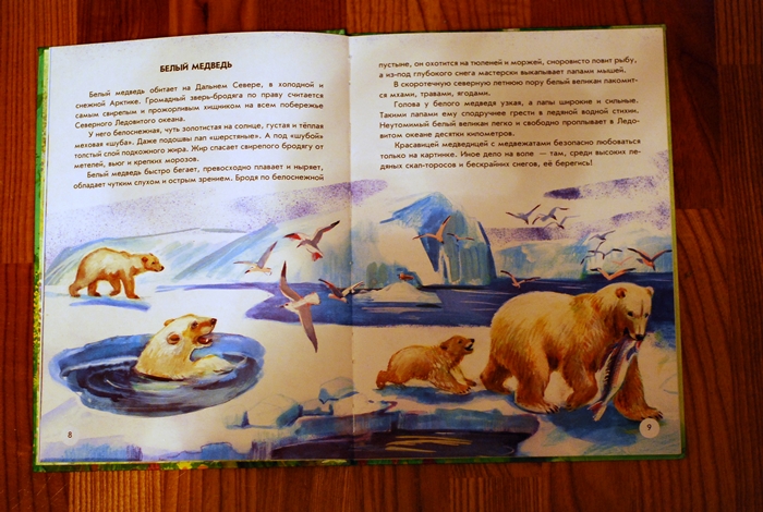 Книга о животных и маленькие географические атласы.