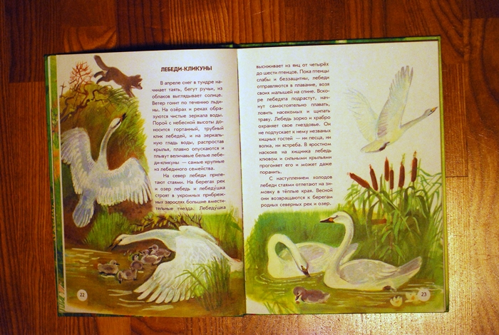 Книга о животных и маленькие географические атласы.