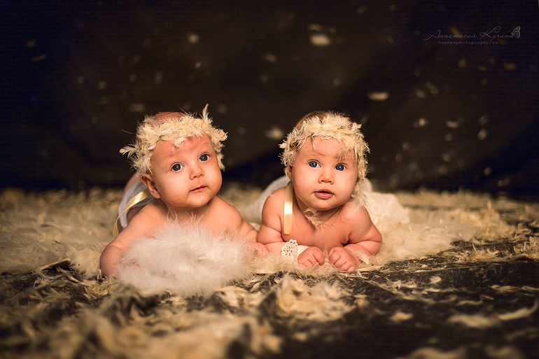 Мои птенчики