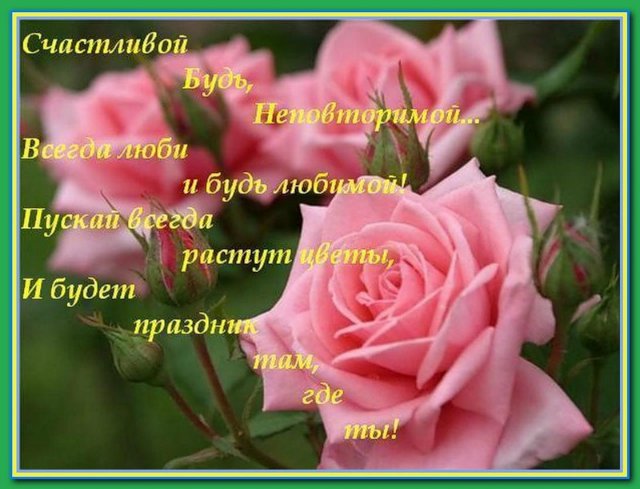 855d3da43e60626738ad588e38146fbd.jpg