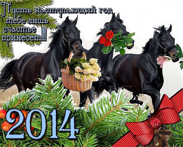 С НОВЫМ 2014 ГОДОМ!