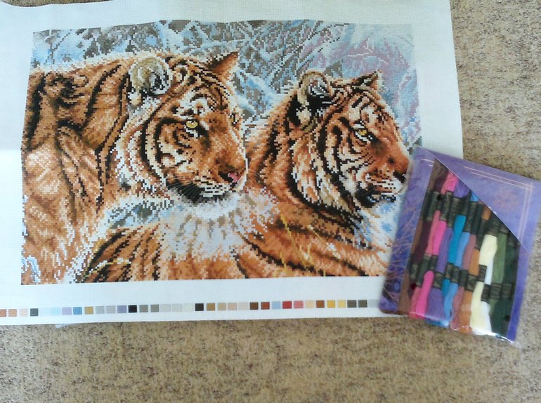 Мой хомяк с удовольствием делится!