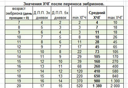 УЗИ при многоплодной беременности | Центр медицины плода «Медика»