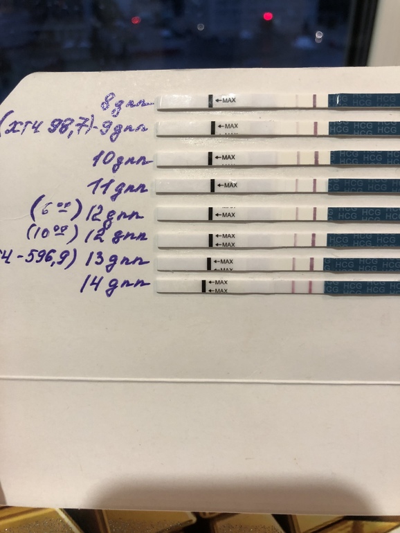 Криоперенос удачные протоколы. 13 ДПП эко крио. 7 ДПП тест. 13дпп 1000.