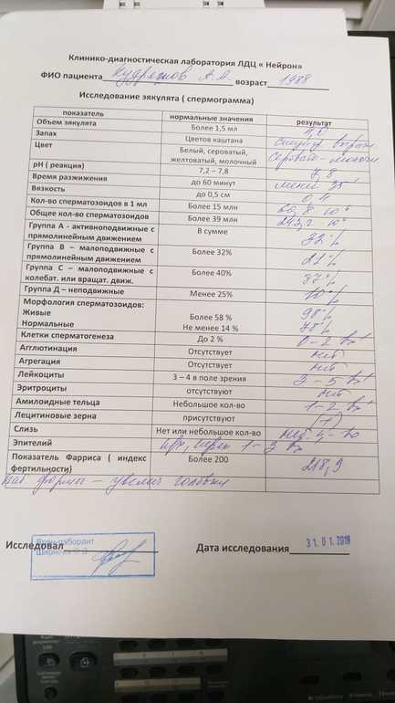 Спермограмма бланк. Спермограмма нормоспермия. Результаты спермограммы. Анализ спермограммы инвитро. Анализ на спермограмму.