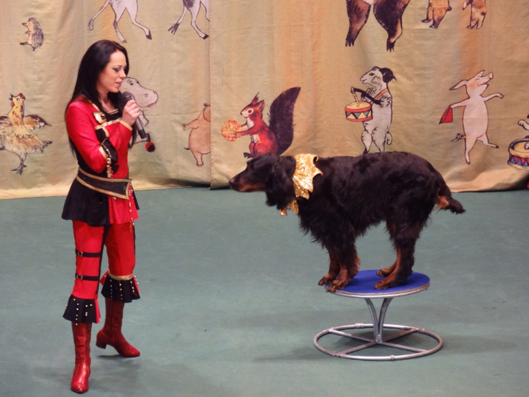 А мы сегодня были 