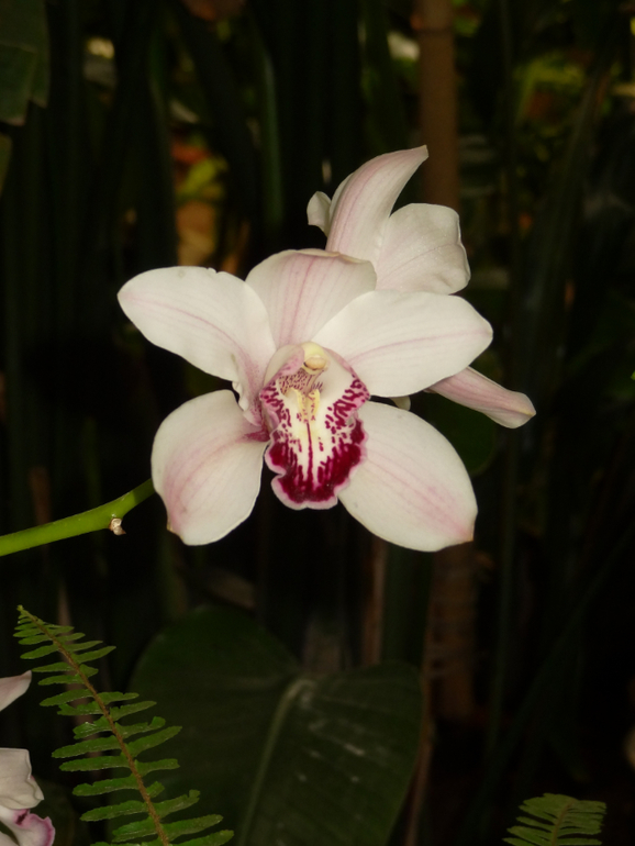 Выставка в аптекарском огороде