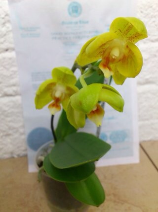 И вот, что еще нашла, практически все это можно приобрести.