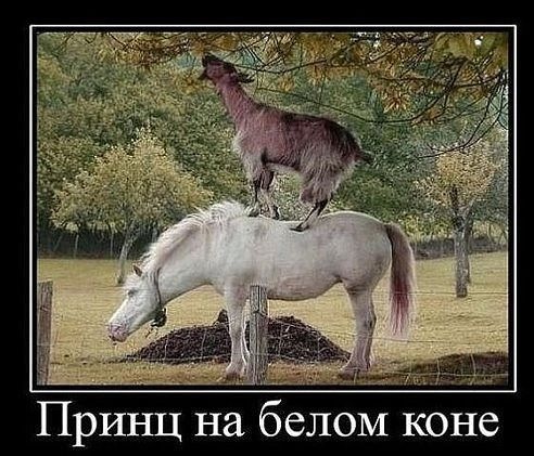 Просто посмеяться))