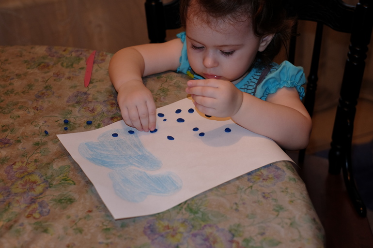 ТН "Цвет"  Синий денек