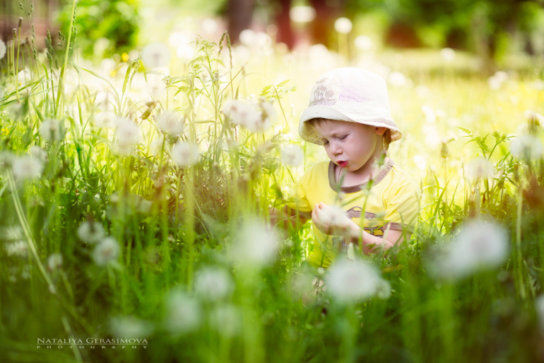 И мы с одуванчиками)