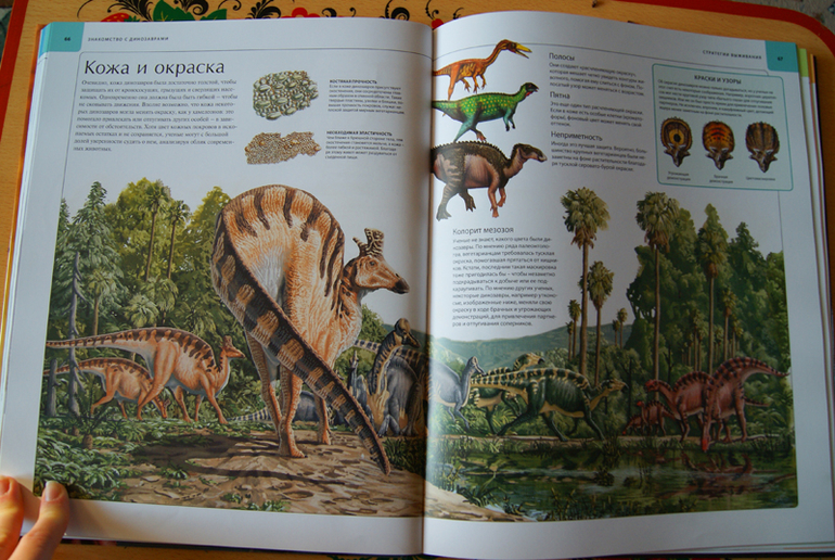 Иллюстрированный атлас Динозавры (Махаон)