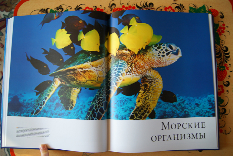 Иллюстрированный атлась Океаны (Махаон)