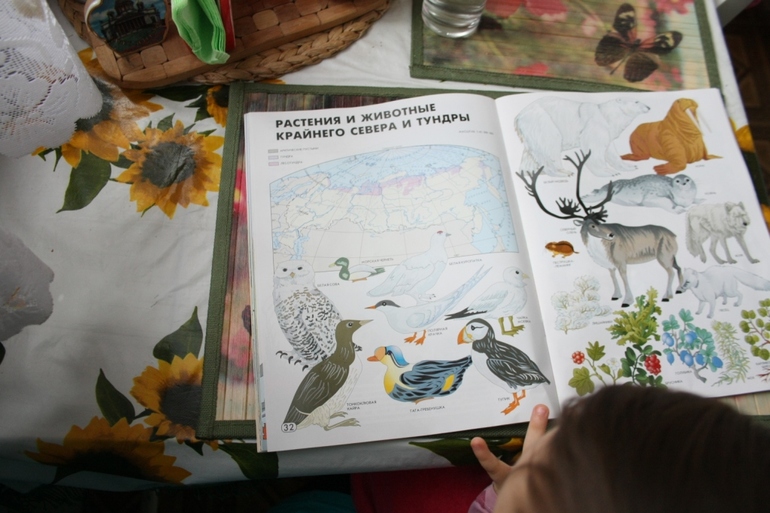 ФМ ТН Арктика и Антарктика