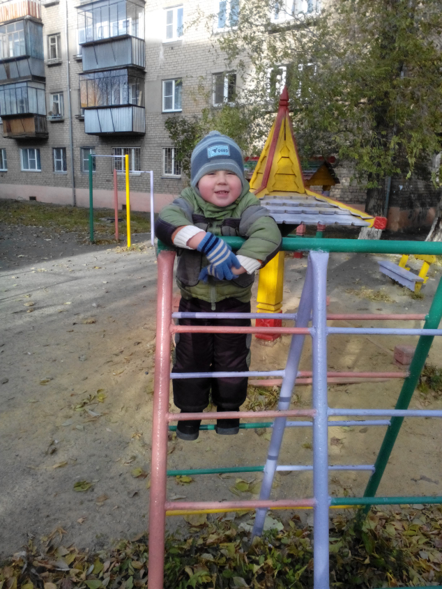 Картинка