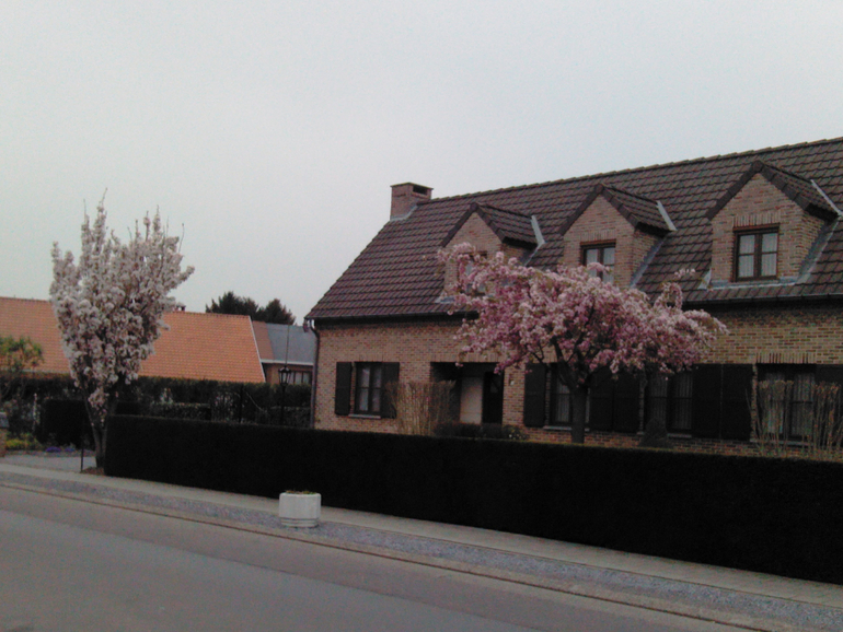 Томатис-терапия в Атлантисе. Фото с нашего 1 курса.