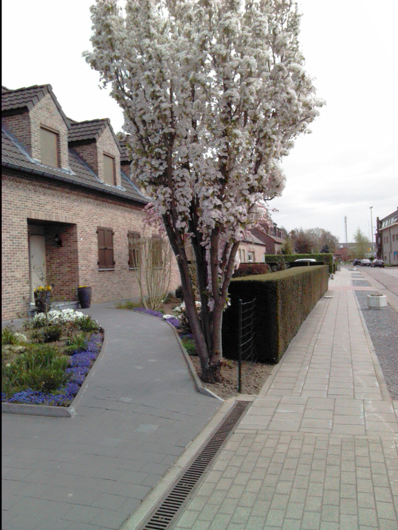 Томатис-терапия в Атлантисе. Фото с нашего 1 курса.