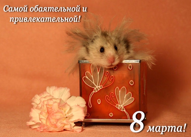 a090596aef5d68299a1e13b8c37eac58.jpg