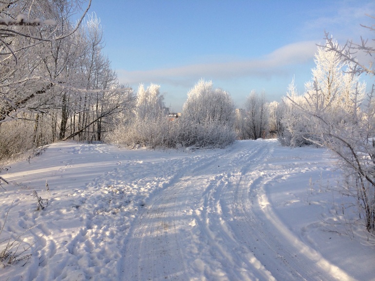 Солнечно-морозный день..