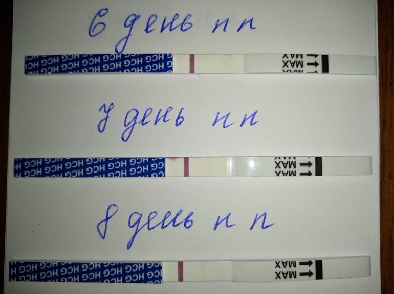 Тесты на беременность после подсадки эмбриона. Тест на беременность на 8 день после подсадки эмбриона. 8 День после переноса эмбрионов. Тест на 8 день после переноса. Тест на 8 день после подсадки.