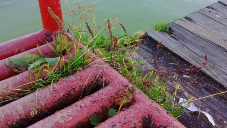 один ДЕНЬ осени